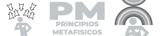 PRINCIPIO METAFISCOS LOGO